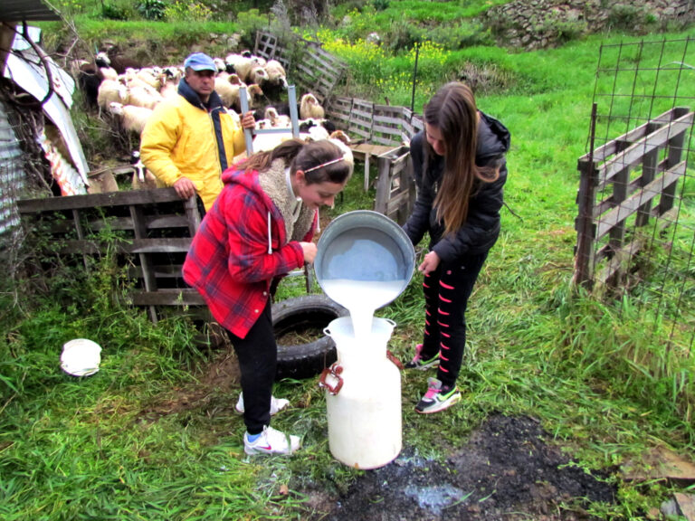 children decanting milk