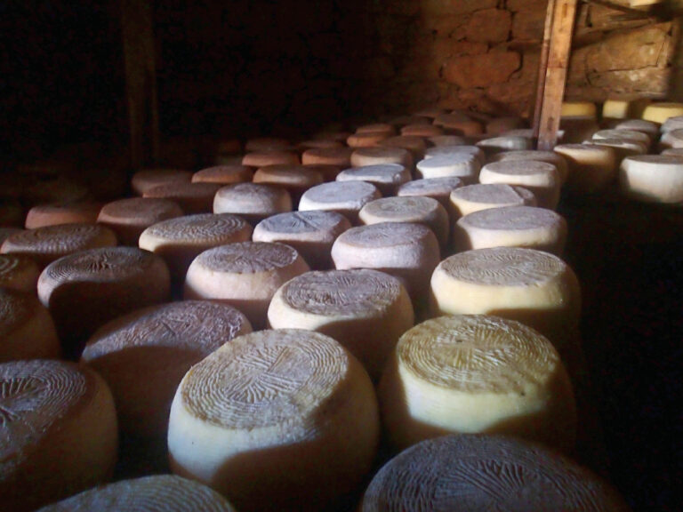 into the cheese cell